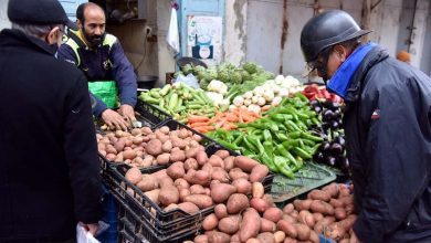 بطاطس مصرية تقصد أسواق المغرب