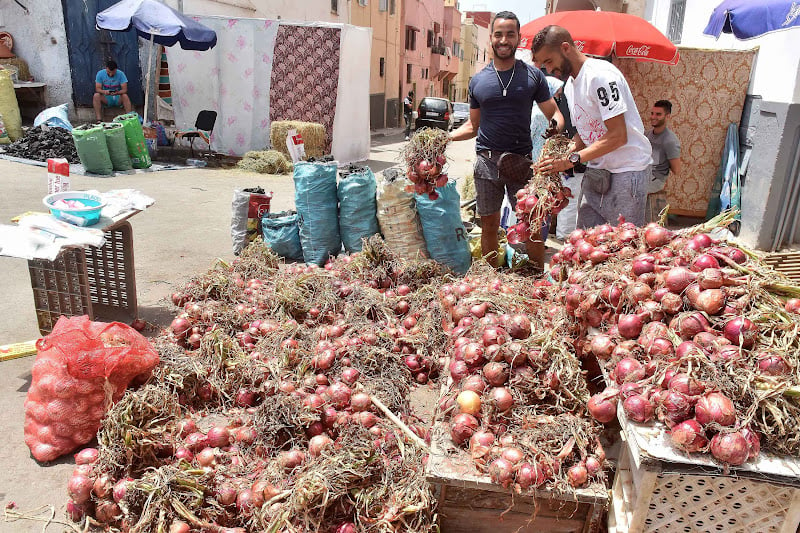 زيادة استهلاك البصل في عيد الأضحى تؤجل استئناف التصدير إلى عمق إفريقيا