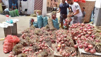 زيادة استهلاك البصل في عيد الأضحى تؤجل استئناف التصدير إلى عمق إفريقيا