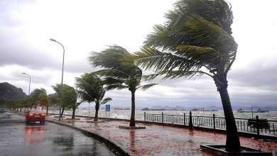 نشرة إنذارية: زخات رعدية محليا قوية ومصحوبة بالبرد مرتقبة اليوم السبت