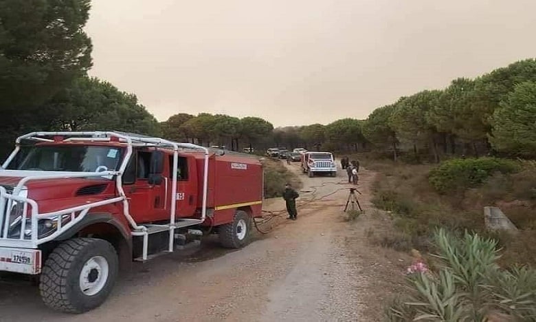 الوكالة الوطنية للمياه والغابات تتوقع اندلاع حرائق غابات في عدد من الاقاليم