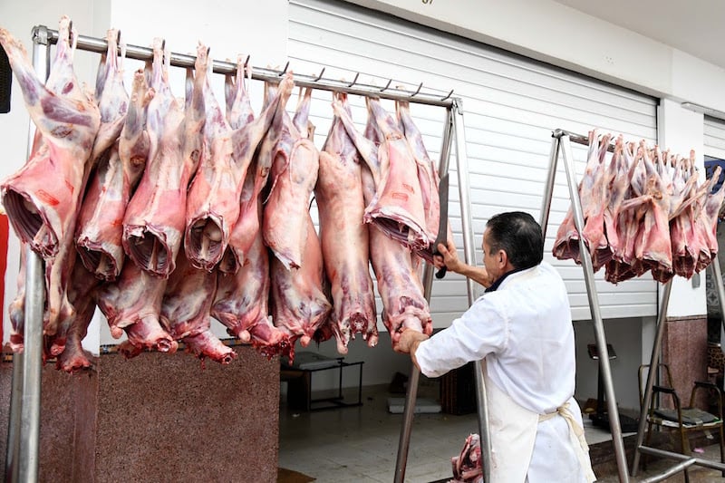 مربو الأغنام: فائض الأضاحي يلبي حاجيات السوق لأربعة أشهر بعد