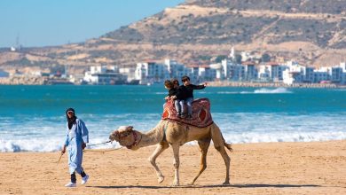 أكادير تجذب سياح دول اسكندنافية .. زبائن يخلقون الرواج بقدرة إنفاق عالية