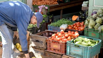 بايتاس: الحكومة تولي أهمية للأمن الغذائي