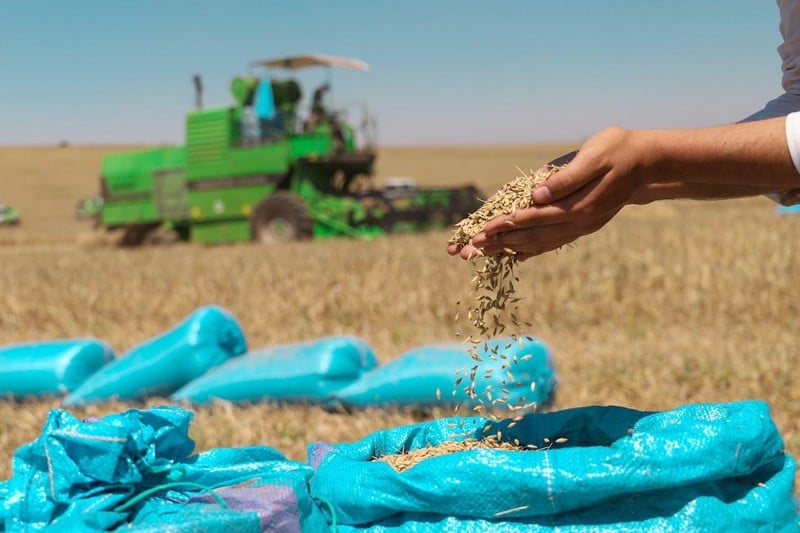 التجربة المغربية في المجال الفلاحي تغري مسؤولي نيجيريا لضمان الأمن الغذائي