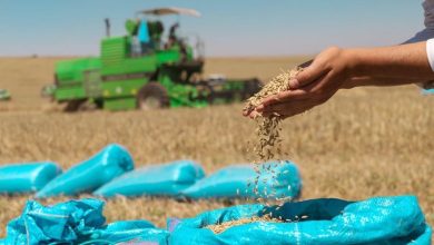 التجربة المغربية في المجال الفلاحي تغري مسؤولي نيجيريا لضمان الأمن الغذائي