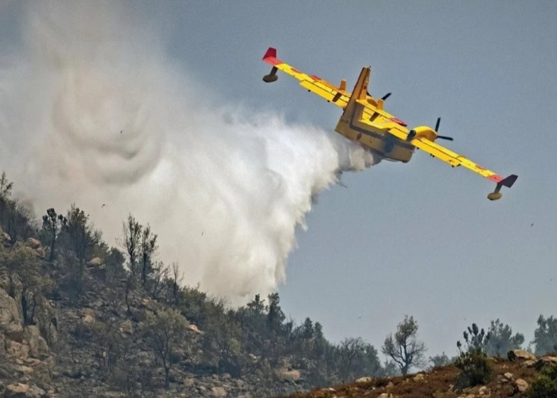 انخفاض ملحوظ في عدد حرائق الغابات والمساحات المتضررة بالمغرب خلال سنة 2024