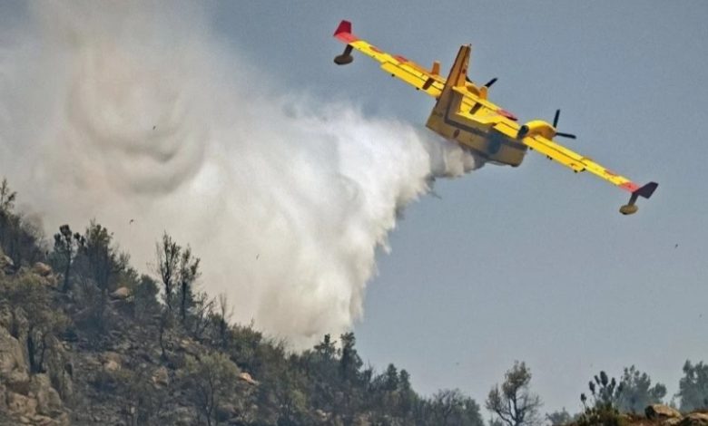 انخفاض ملحوظ في عدد حرائق الغابات والمساحات المتضررة بالمغرب خلال سنة 2024