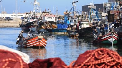 نقابة جديدة للصيد التقليدي بالمغرب تبحث حل مشاكل