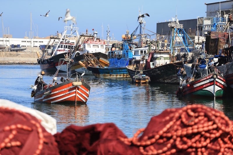 نقابة جديدة للصيد التقليدي بالمغرب تبحث حل مشاكل