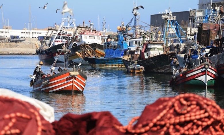 نقابة جديدة للصيد التقليدي بالمغرب تبحث حل مشاكل