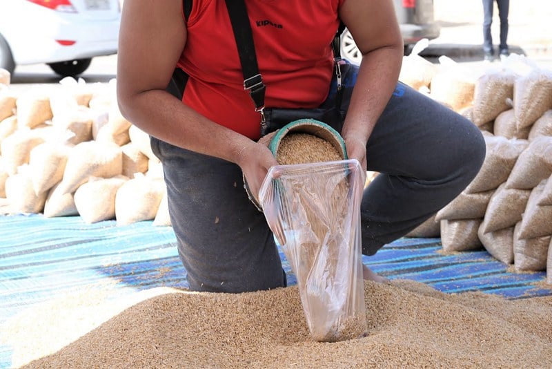 مهنيو الحبوب بالمغرب يأملون نهاية الحرب في أوكرانيا لتعزيز الاستيراد