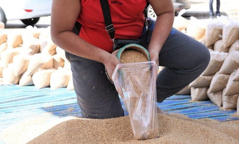 مهنيو الحبوب بالمغرب يأملون نهاية الحرب في أوكرانيا لتعزيز الاستيراد